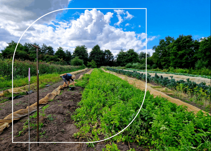Headerbeeld Kansrijk Zomer